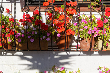 A colourfull window box with geraniums with red and pink flowers.