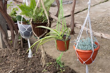 Four flower pots suspended in a macrame planter in the yard
