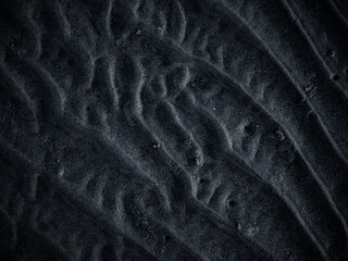 Wet sand surface ground after water. Lock down shot