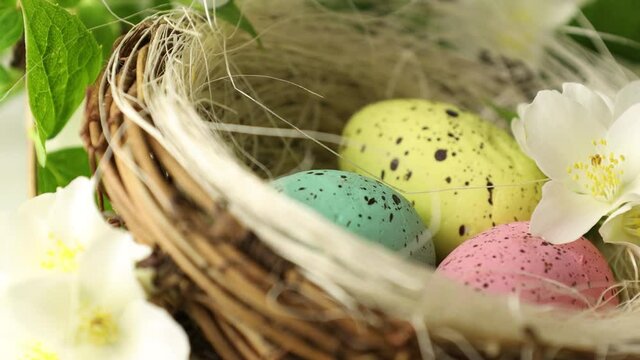 Happy Easter. painted eggs in a basket with blooming jasmine flowers. Close up of a decorative nest with colored eggs for the Easter holiday rotating in circle