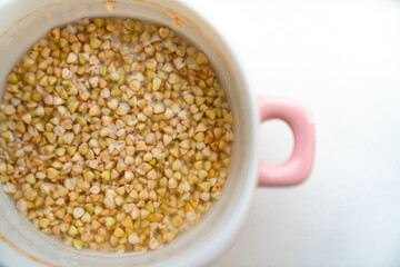 green buckwheat soaked in water for a wholesome Breakfast. sports nutrition.