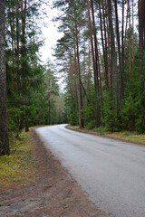 Einsame und leere Asphaltstraße führt durch einen im Wald im Winter in Estland
