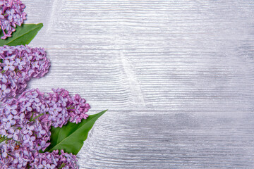 Bouquet of lilac on a silver wooden background