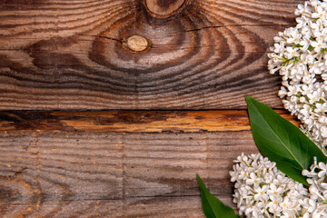 Bouquet of white lilac on a old wooden background. Top view