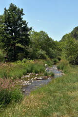 Frühling an der Dreisam in Freiburg