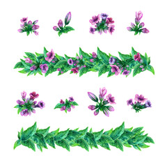 A pulmonaria drawing, lungwort flower elements. A painted wildflower border, arrangement, garland. A floral watercolor painting illustration isolated on a white background.