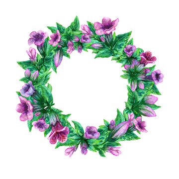 A Pulmonaria Drawing, Lungwort Flower Elements. A Painted Wildflower Wreath, Circle Frame Arrangement, Garland. A Floral Watercolor Painting Illustration Template With Copy Space For Text.