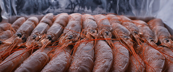 frozen king prawns, macro background seafood, fresh red prawns