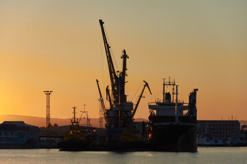 Obraz premium cranes at sunset