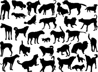 set of thirty one dogs silhouettes isolated on white