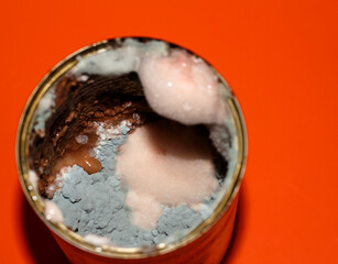 Mold in the food jar. Spoiled food. Toxic canned food.