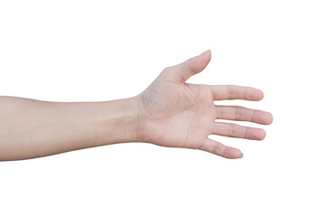 Hand (palm) isolated on white background with clipping path.