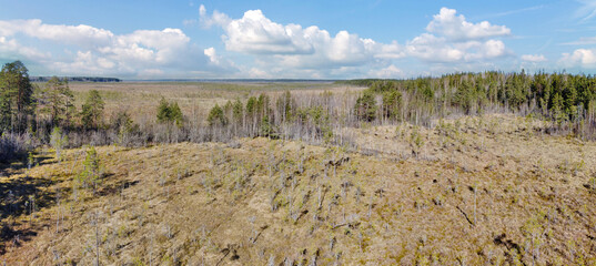 panorama of northern peat swamp under sky with clowds