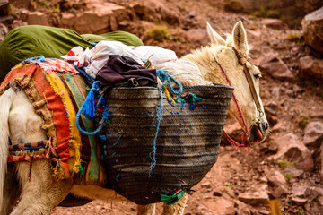 Toubkal National Park is a national park in the High Atlas mountain range.  Jbel Toubkal is the...