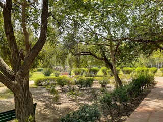 Fototapeta premium spring in the park