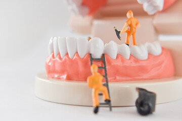 miniature people to repair a tooth or worker cleaning tooth model as medical and healthcare. Idea...