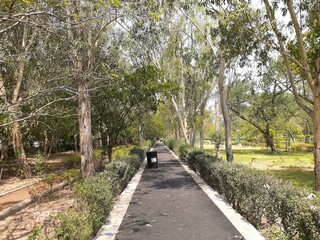 walk in the park