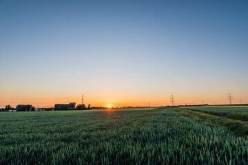 wheat field at sunrise © Dirk