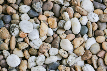 The background is full of small and large stones
