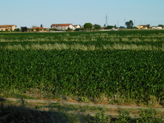 paesaggio di campagna in maggio