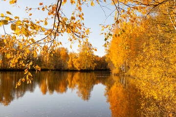 autumn landscape, trees with yellow fallen leaves reflected in the water of the lake