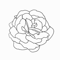 Wild rose flower hand drawn doodle outline. Black line art floral motif for postcards or logo. Design for coloring and stickers. Stock vector illustration isolated on white background.