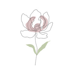 Obraz premium Leaves icon Line art. Minimal flora design with abstract shape background for cover, prints, fabric and wallpaper. Vector illustration