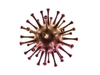 3d rendered Coronavirus isolated on white background