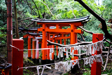 Fototapeta na wymiar the paper-telling and torii gate on fushimi-inari trail Kyoto, Japan