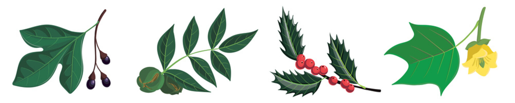 vector drawing branches of trees