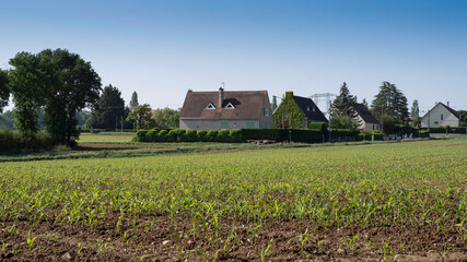 Fototapeta na wymiar Fields and house in the French countryside