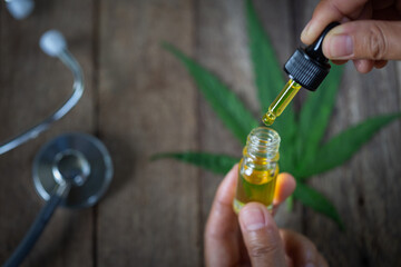 Hemp oil is in the hands of scientists in a greenhouse, Hemp oil research, Concept of herbal alternative medicine, cbd oil, pharmaceptical industry.