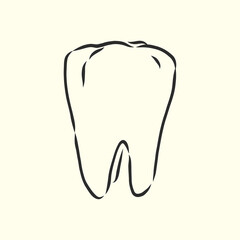 Hand-drawn black lines sketch molar, tooth. Doodle drawing. Object, Element, manuals, books or packaging, isolated vector . human tooth, vector sketch illustration