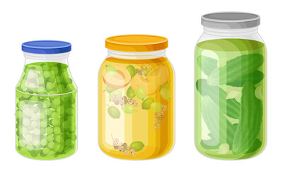 Glass Jars with Preserved Vegetables and Stewed Fruit Vector Set