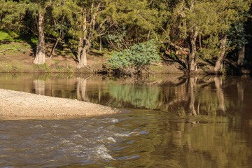 Cotter River flowing nicely at Cotter Bend