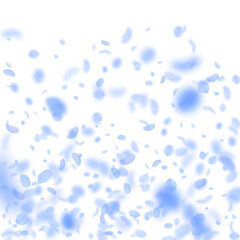 Dark blue flower petals falling down. Optimal roma
