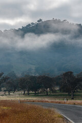 Fog-covered hill