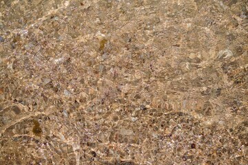 texture of grass