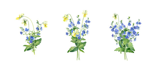 Watercolor bouquets of wild forest flowers on a white background