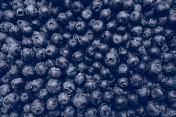 Organic blueberries background