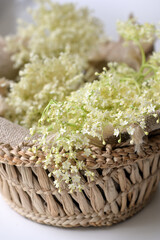 Fototapeta na wymiar Spring Elderflowers In Basket On Table