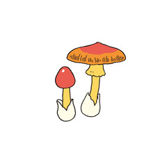 タマゴタケのライン画イラスト