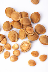 apricot kernel isolated on white background