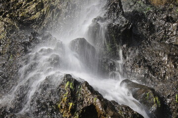the water falls at shirley yellapur 