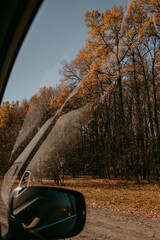 view from the car window in an autumn day