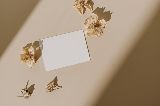 Blank paper sheet card with empty copy space and flower buds with sunlight shadows on beige background. Flat lay, top view business mock up template.