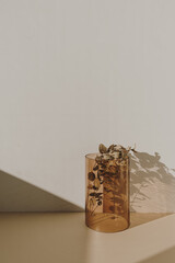 Interior decoration: eucalyptus branch in tan glass vase with sunlight shadows on the wall