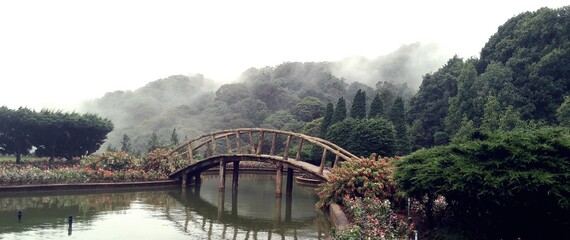 Morning in the North of the country, Thailand . Wooden bridge in the park with mountains and fog in the morning.

I