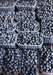 blueberry containers on an open market