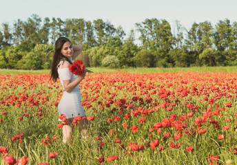 Fototapeta na wymiar A dark, stylish, slender girl poses against the background of a poppy field with her hair flowing in the wind in the warm rays of the summer sun